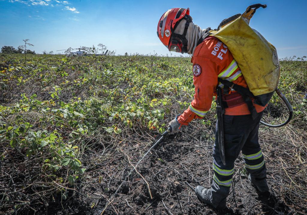 Bombeiros extinguem 2 incêndios florestais e combatem outros 3 neste domingo (3)